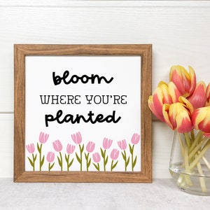 Bloom Where You&#39;re Planted Tulips Sign Design, Spring Tiered Tray Svg, Flower Tiered Tray Svg, Flower Signs Svg, Spring Tier Tray Png