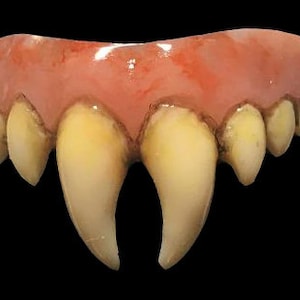 Op de afbeelding: Een set plastic vampiertanden met een roze tandvleesbasis en scherpe, puntige hoektanden.
