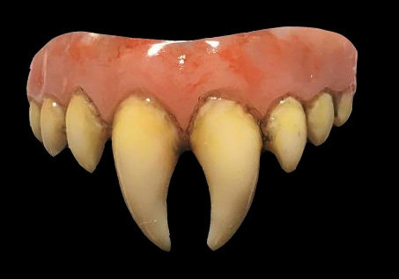 Op de afbeelding: Een set plastic vampiertanden met een roze tandvleesbasis en scherpe, puntige hoektanden.