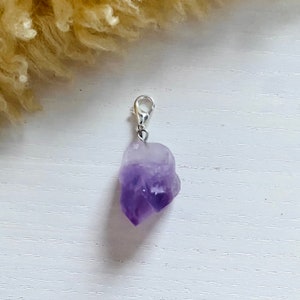 Simple Amethyst Nugget Collar Charm Calm & Soothe Cat and Dog Collar Charms Pet Collar Accessories Clip On Pet Collar Charm image 4