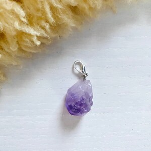 Simple Amethyst Nugget Collar Charm Calm & Soothe Cat and Dog Collar Charms Pet Collar Accessories Clip On Pet Collar Charm image 3