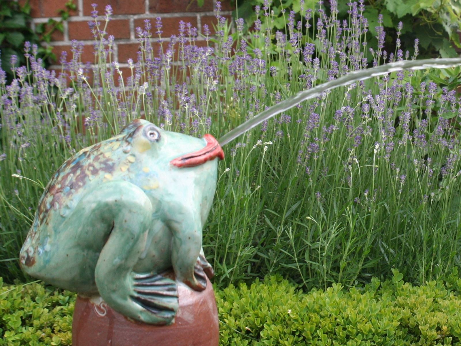 Garten frosch statue - .de