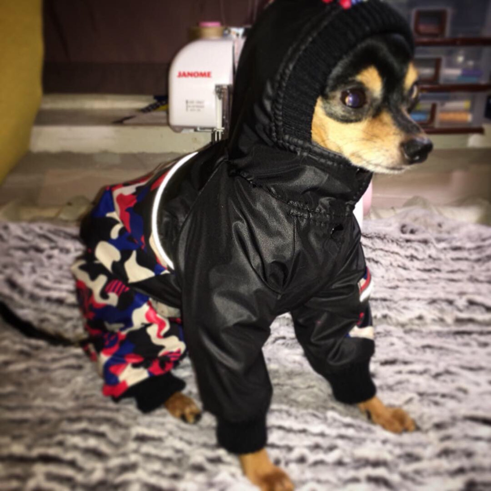 Camo Dog Raincoat S 4 Leg Small Dog Clothes Etsy