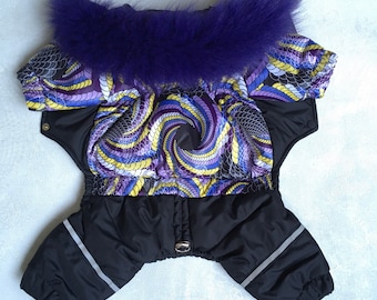 Chihuahua snowsuit size S, Chihuahua winter clothing