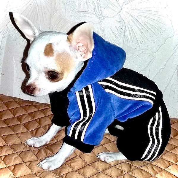 Boy Yorkie Clothes Etsy