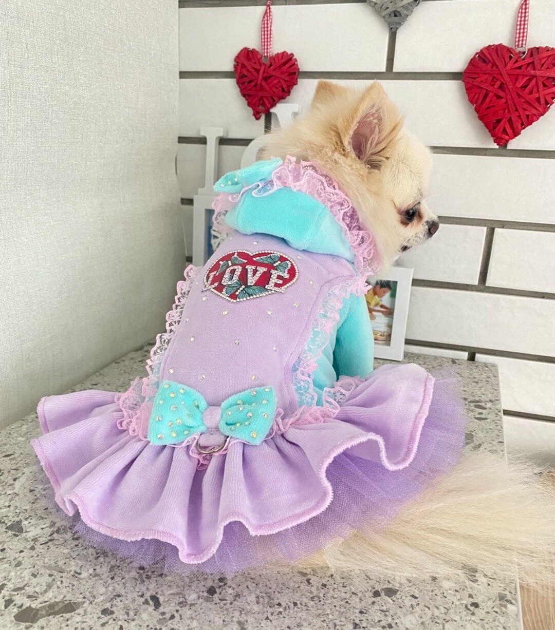 Teacup Dog Girl Outfit Purple Mint S Birthday Doggie Outfit Etsy