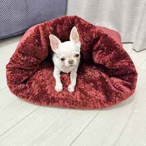Soft Snuggle Sack for small pets, Puppy & Kitten Cuddle Pouch, Warm Washable Pet Blanket