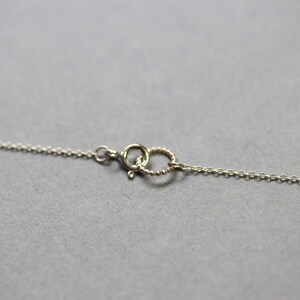 May include: A silver chain necklace with a lobster clasp closure.