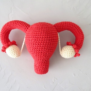 Crochet plush uterus with ovaries Funny gift for midwife Doula gynecologist Stuffed womb Mother&#39;s day gift Uterus Anatomy Female Body Organ