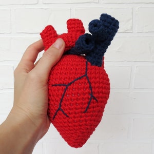 Realistic human heart Valentines day gift for doctor Anatomical crochet Cardiologist Medicine souvenirs Horror decor Halloween Easter