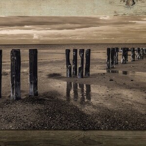 May include: A sepia-toned photograph of a row of weathered wooden posts extending into the water on a sandy beach. The posts are partially submerged in the water, creating reflections on the surface. The sky is cloudy and the horizon is visible in the distance.