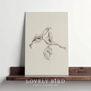 Póster de dibujo de flores de descarga instantánea, arte mural con bocetos florales a lápiz, decoración de cocina rústica, impresión botánica digital para cama n.° 1011