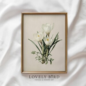 May include: A framed botanical print featuring white crocus flowers with yellow centers and green leaves. The artwork is set against a beige background and framed in a gold-colored frame. The text "LOVELY BIRD VINTAGE & MODERN ART" is at the bottom.