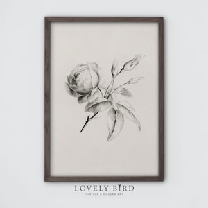 Vintage Rose Kunstdruck, Cottage Küche Blume Skizze Wandkunst, Floral Zeichnung Poster Sofort-Download, moderne Bauernhaus DIGITAL Printables