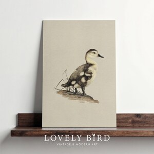 Vintage Duck Print: Farmhouse Nursery Wall Art (Digital Download)