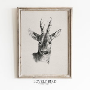 Neutrale Hirsch Skizze DRUCKBARE Wand Kunst, Vintage Bauernhaus Zeichnung, Sofortige Druck, Digitale Wildtiere Bleistift Download Poster, über dem Bett #266