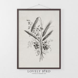 Cornflower Botanical Print: Vintage Grain Drawing, Cottage Kitchen Decor (Digital Download) #1082