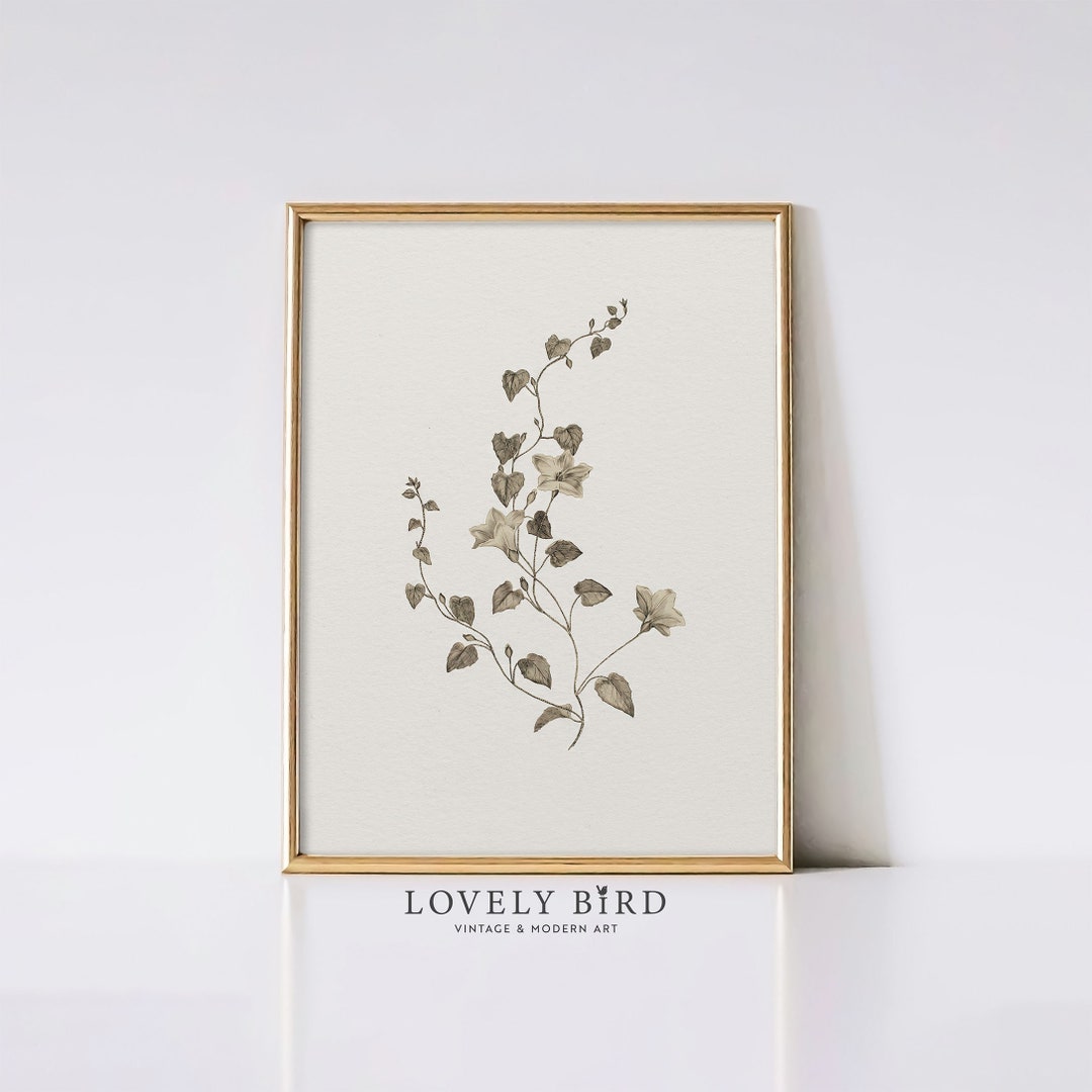 PRINTABLE Vintage Botanical Plant Illustration Neutral - Etsy