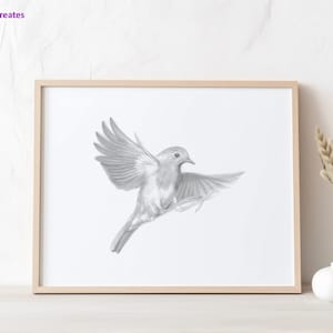 Robin Print, Robin Wall Art, Robin Drawing, Bird Print, Black White Animal, Pencil Drawing, Printable Art, Bird Wall Art, Bird Printable