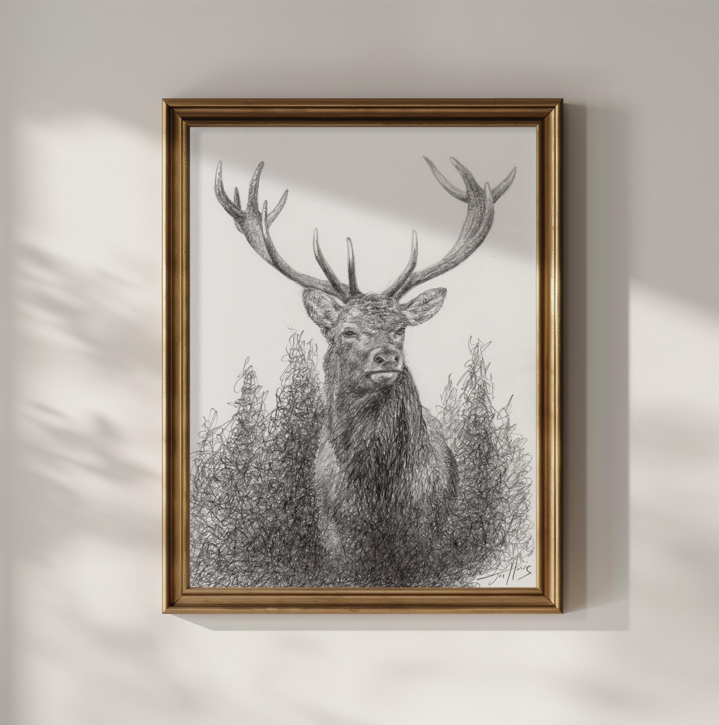 オリジナルのトナカイの鉛筆画：鹿のスケッチアート、8.5x11インチ