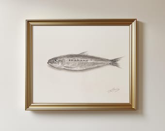 Original Sardine Drawing Sketch, Charcoal Fish Art (8.5x11 in, Unframed)