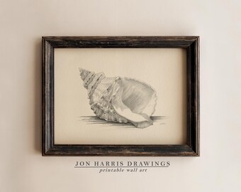 Seashell Wall Art Print: Vintage Pencil Sketch (Digital Download) JSH-366