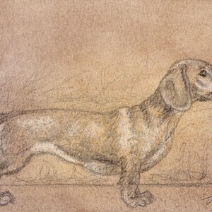 May include: A pencil sketch depicting a dachshund dog in profile, with its distinctive long body and short legs. The artwork uses brown and grey tones on a textured, tan background. The dog's tail is curled, and the artist's signature is present.