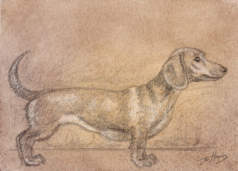 May include: A pencil sketch depicting a dachshund dog in profile, with its distinctive long body and short legs. The artwork uses brown and grey tones on a textured, tan background. The dog's tail is curled, and the artist's signature is present.
