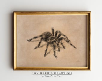 Tarantula Spider Sketch Print: Rustic Country Wall Art (Digital Download)