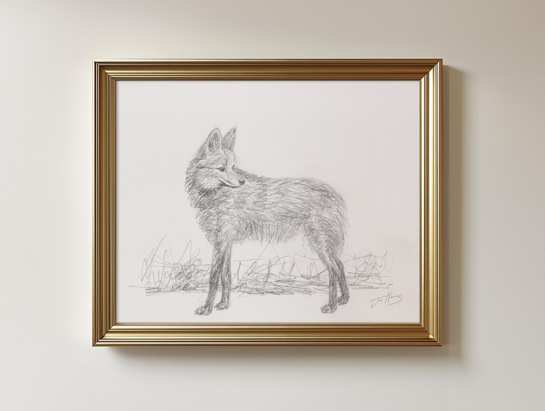 Wolves Graphite Drawing Original Maned Wolf Drawing - Unframed Graphite Pencil Sketch Art (8.5 ...