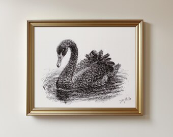 Original Black Swan Biro Pen Drawing - Unframed Sketch Art (8.5x11")
