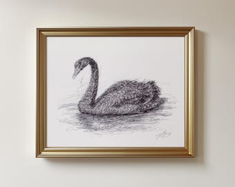 Original Black Swan Biro Pen Drawing - Unframed Swan Sketch Art