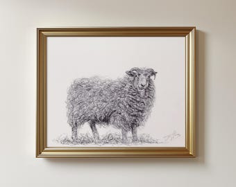 Original Sheep Drawing - Pen & Ink Unframed Sketch Art (8.5 x 11 inches)