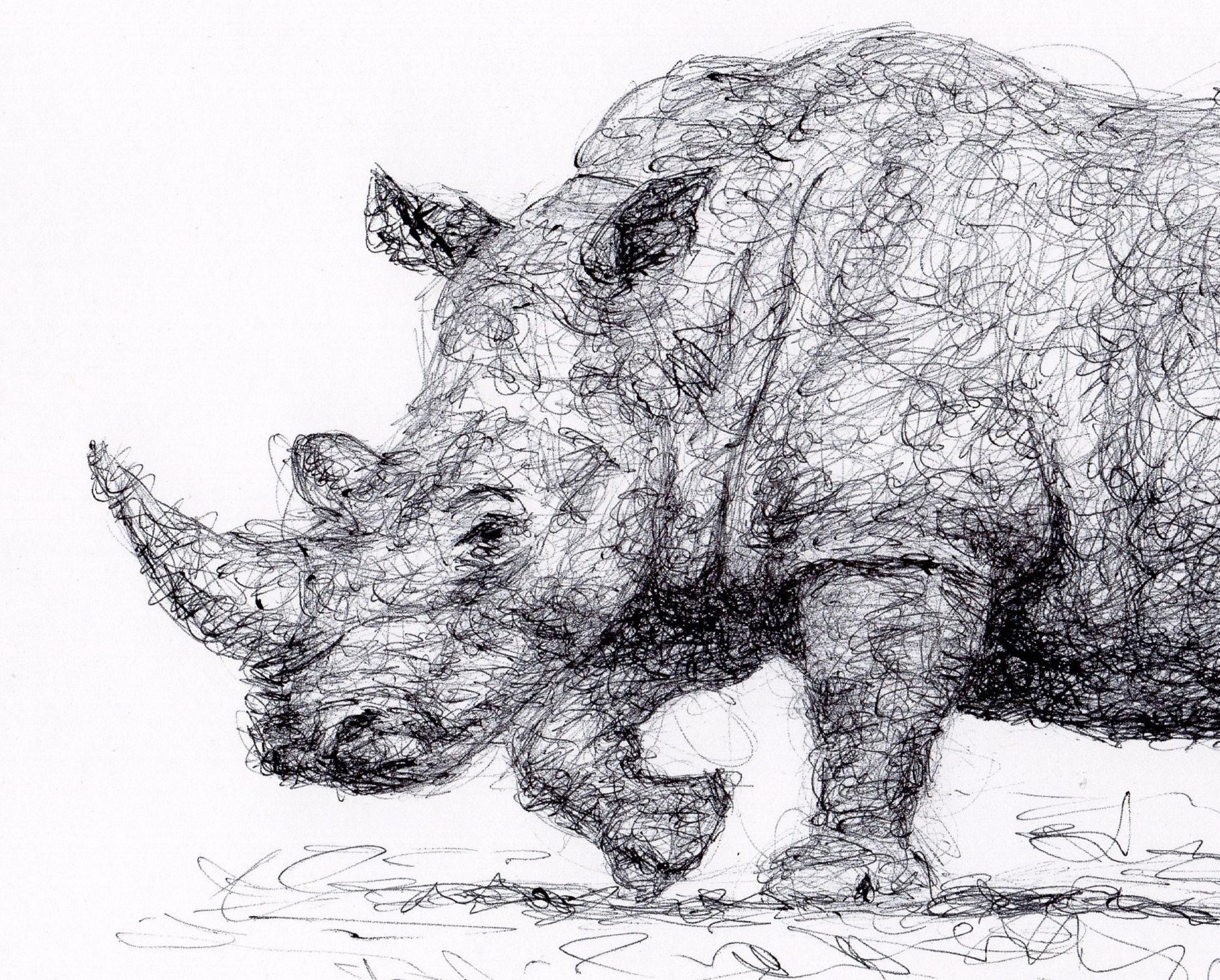 シロサイ　ペン画 シロサイ ペン画 サイ 動物ペン画No.13