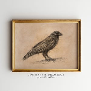 May include: A framed print featuring a detailed sketch of a crow. The artwork is rendered in shades of black and brown, with visible pencil strokes. The frame is gold. The text "JON HARRIS DRAWINGS printable wall art" is at the bottom.