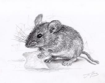 Original Field Mouse Pencil Drawing: Unframed Graphite Art
