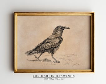 Raven Sketch Print: Vintage Bird Wall Art (Digital Download Printable) JSH-184