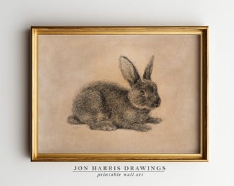 Vintage Bunny Rabbit Sketch Print: Rustic Country Wall Art (Digital Download) JSH-326