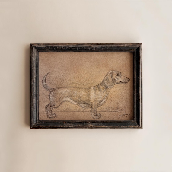 Original, NOT A PRINT- Dachshund Dog, Dog Pencil Drawing Sketch, Dachshund Vintage Sketch, Country Dog Drawing, Dog Drawing (Unframed - 5x7)