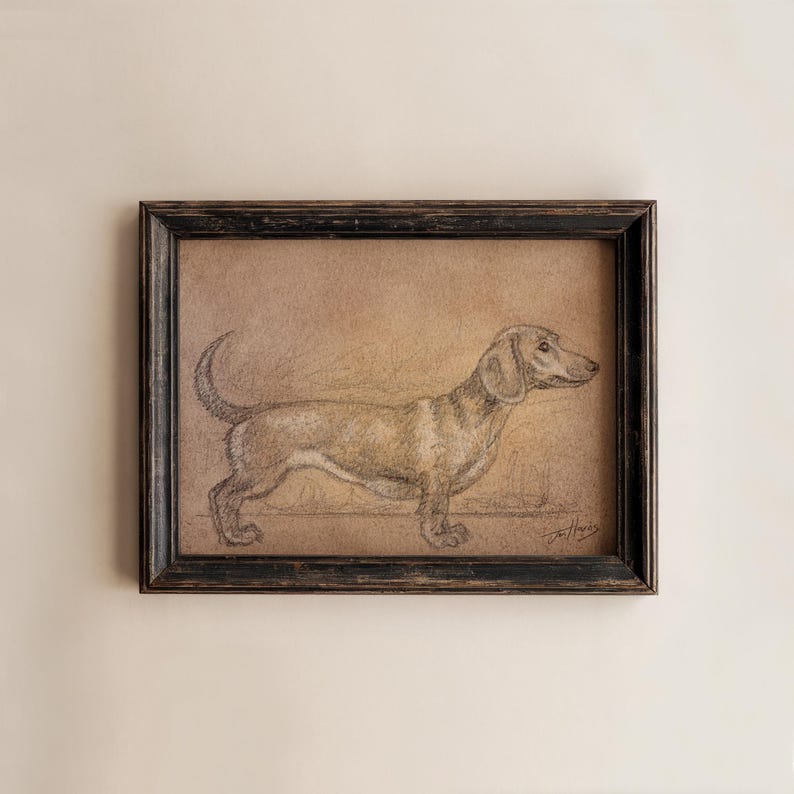 May include: A framed pencil sketch of a dachshund dog in profile. The artwork features a detailed drawing of the dog with shading and texture, set against a tan background. The frame is black with a distressed finish, adding a vintage feel.