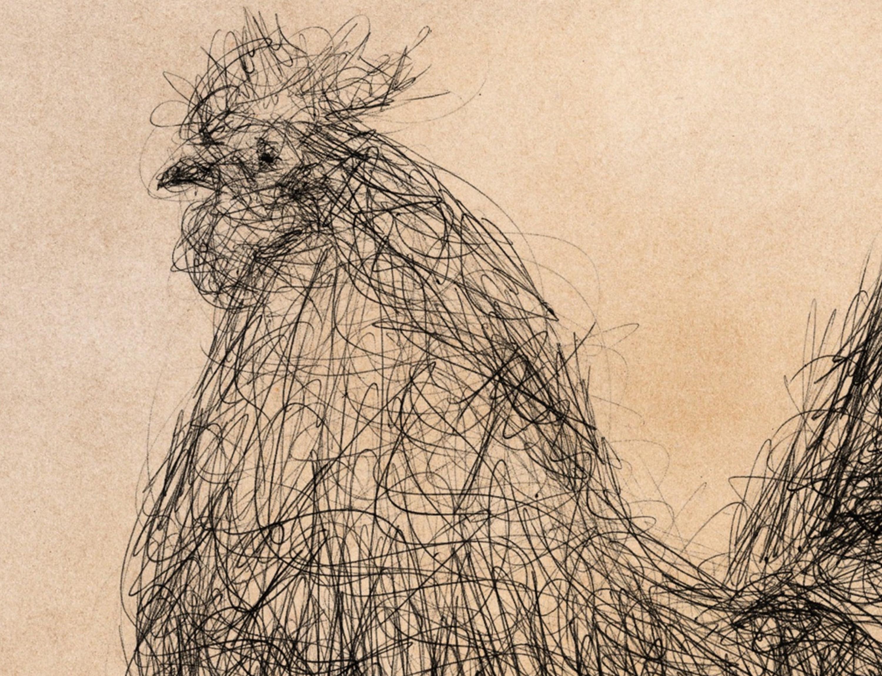 Vintage Cockerel Drawing Printable Wall Art: Antique Pen and Ink Sketch ...