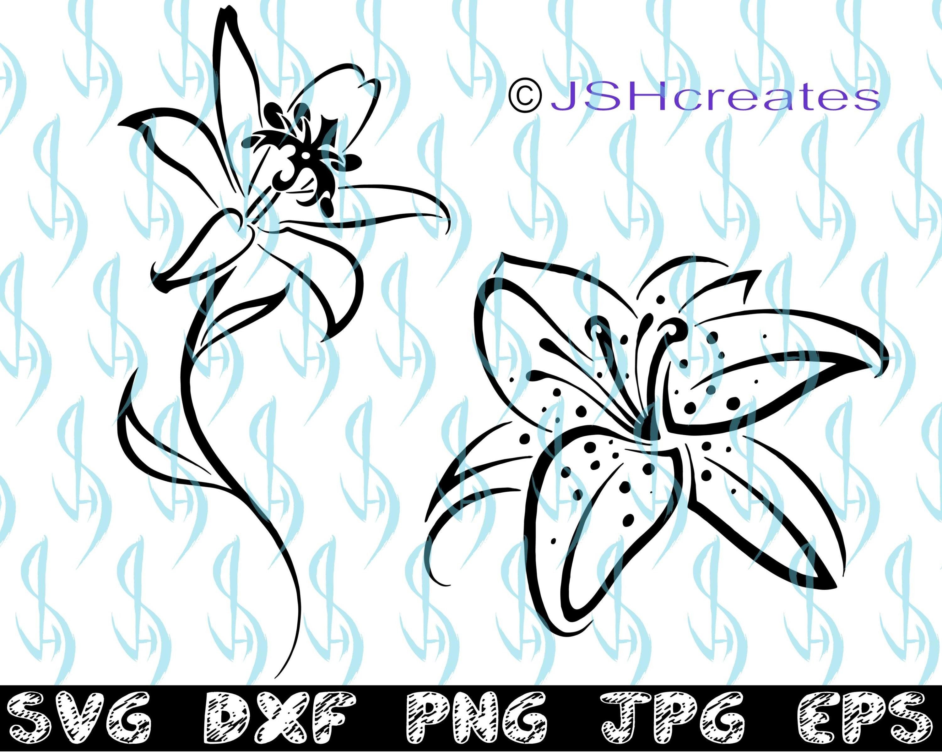 Download Lily Svg Flowers Svg Lily Flower Svg Silhouette Cut File Clipart Vinyl Stickers Decals Eps Dxf