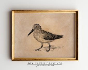 Dunlin Bird Printable Wall Art: Pen & Ink Beach House Decor (Digital Download) JSH-340
