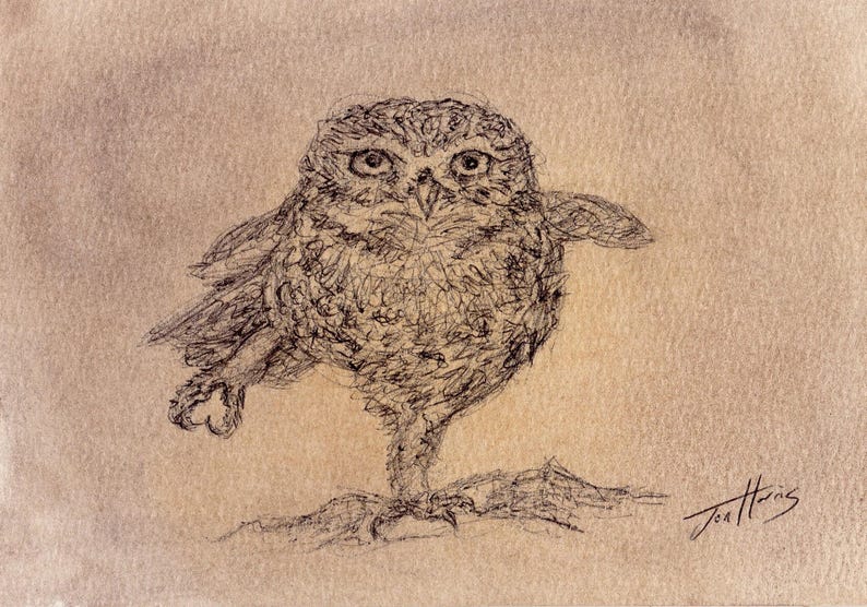 Original Owl Drawing Sketch: Pen & Pastels, Minimal Vintage Art, Unframed - 5x7 image 2