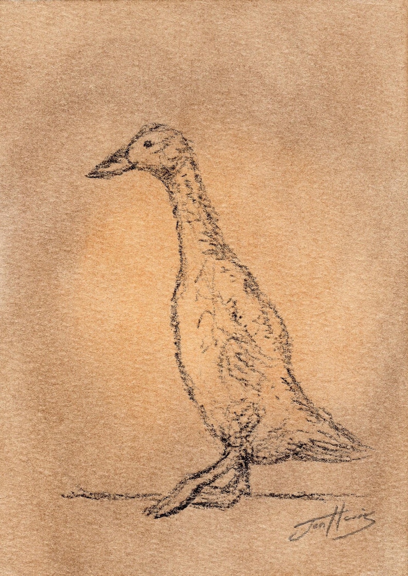Puede incluir: Boceto a carboncillo de un ganso de perfil, sobre un fondo beige. La obra de arte utiliza l&iacute;neas texturizadas para representar el cuello largo, el pico y la postura del ave. La firma del artista es visible en la esquina inferior derecha.