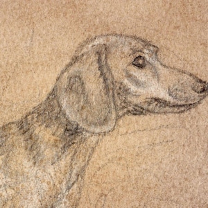 May include: A pencil sketch of a dog's head in profile, showing the animal's features. The dog has a long snout, floppy ear, and a gentle expression. The drawing is in shades of grey on a tan background.