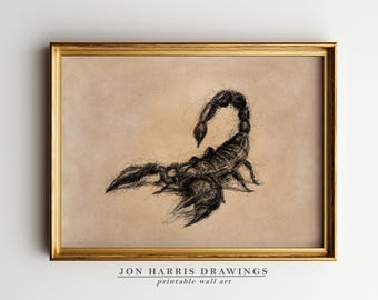 Vintage Scorpion Sketch Print: Rustic Country Wall Art (Digital Download)