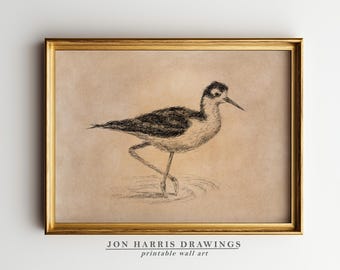 Vintage Black Necked Stilt Printable Wall Art: Pen & Ink Bird Sketch (Digital Download) JSH-348