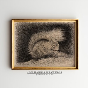 Squirrel Sketch Print: Nursery Animal Drawing, Vintage Farmhouse Decor (Digital Download) JSH-188