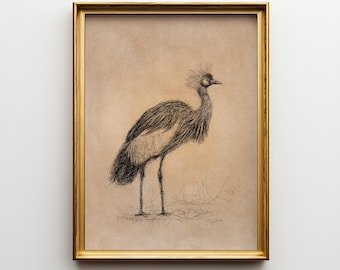 Crest Wall Art Print, Digital Bird Poster, Biro Pen Artwork, Wildlife Nursery Print, Neutral Animal Printable Wall Art Drawing - JSH-158